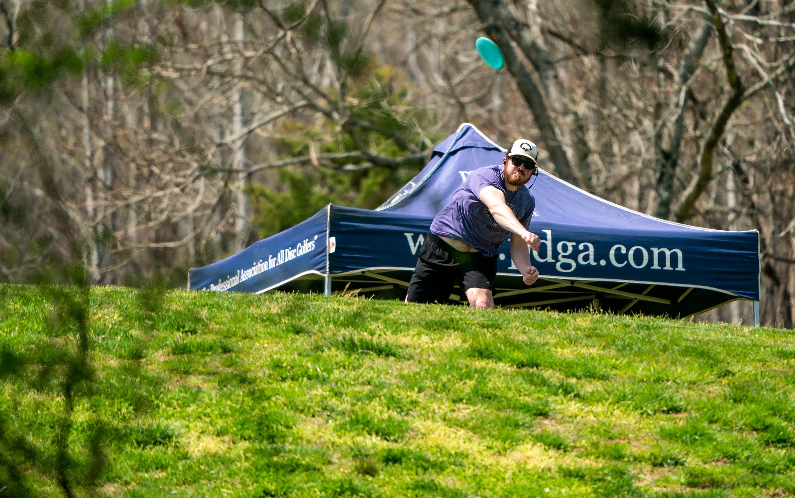 From Backyard to Championship: How to Build Your Own Disc Golf Course ...