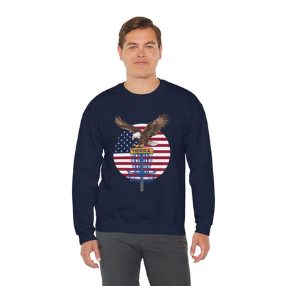 Disc Golf Sweatshirt - American Flag Eagle Disc Golf Basket  - Unisex Heavy Blend™ Crewneck Sweatshirt